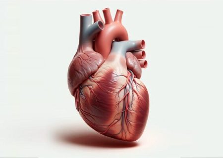 امیدی تازه برای درمان نقص‌های مادرزادی قلب و نارسایی‌های قلبی