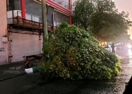 طوفان در دل تهران / گزارش تصویری