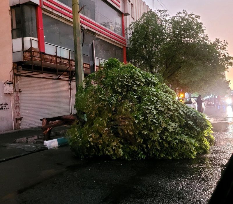 طوفان در دل تهران / گزارش تصویری