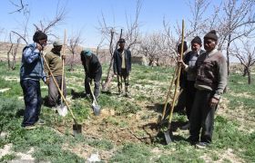 انتقاد به علی اکبر رضایی سرپرست فرمانداری گلپایگان / فیلم