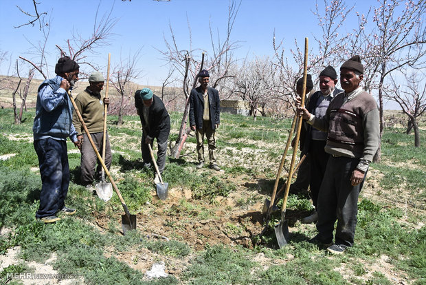 انتقاد به علی اکبر رضایی سرپرست فرمانداری گلپایگان / فیلم