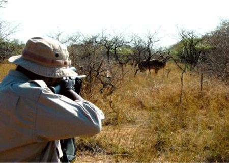 انتشار تصاویر شکار در فضای مجازی جرم محسوب می‌شود