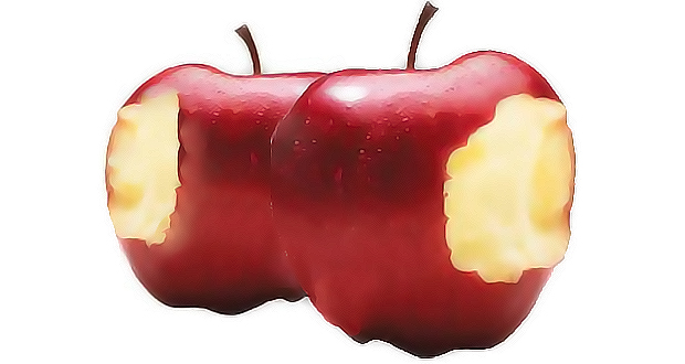 اسراف در مصرف سوخت در ایران؛ لزوم بازنگری در فرهنگ مصرف انرژی