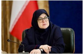 سخنگوی دولت: تقسیم‌کار ملی برای تسهیل سفر اربعین انجام شده است