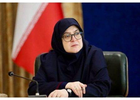 سخنگوی دولت: تقسیم‌کار ملی برای تسهیل سفر اربعین انجام شده است